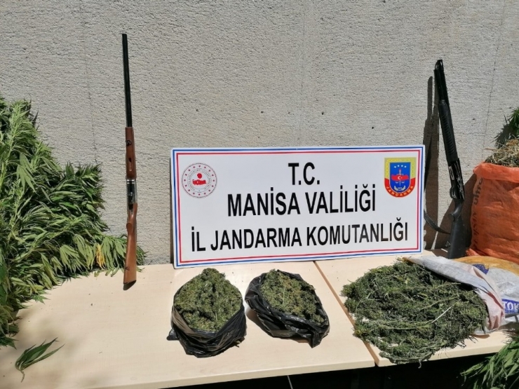 Manisa’da Uyuşturucu Operasyonu: 1 Gözaltı