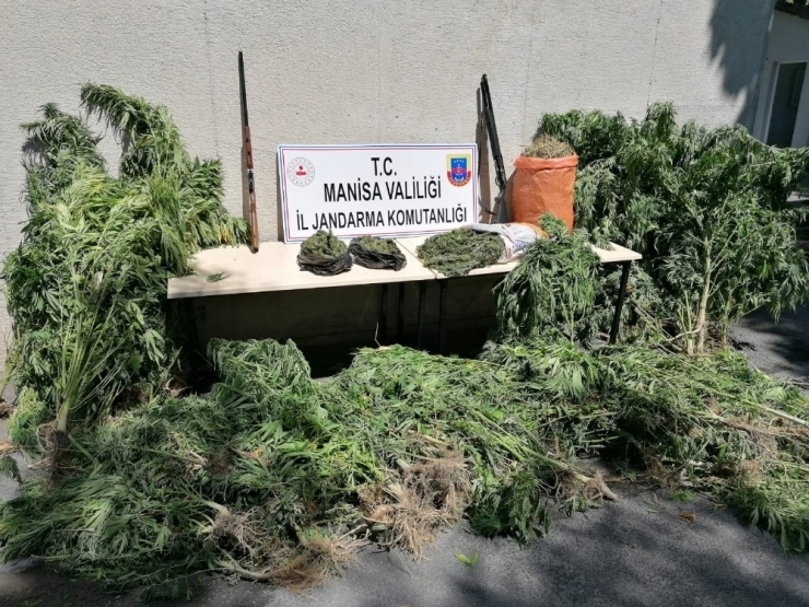 Manisa’da Uyuşturucu Operasyonu: 1 Gözaltı