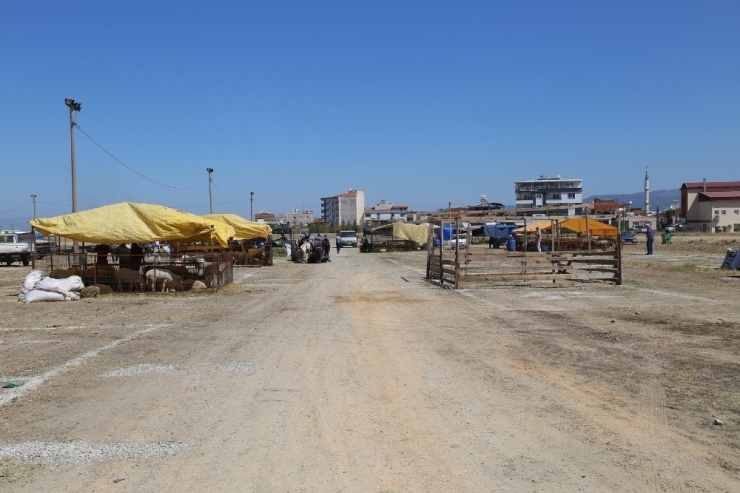 Turgutlu Hayvan Pazarında Kotralar Satışta