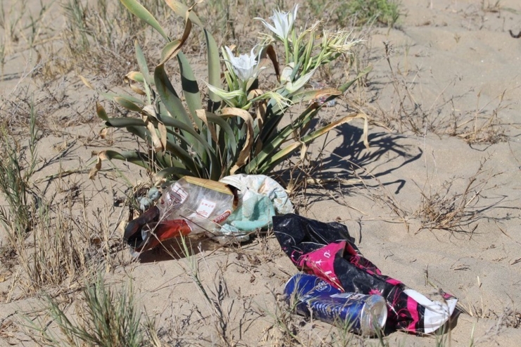 Pamucak Sahilleri Beyaza Büründü