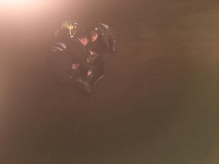 Barajda Kaybolan Çobanın Cansız Bedenine Ulaşıldı