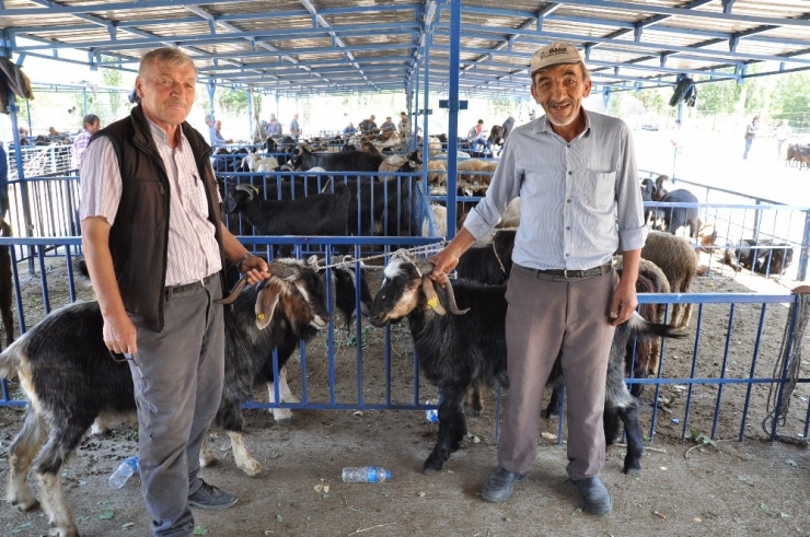 Simav’da Kurban Pazarı Açıldı