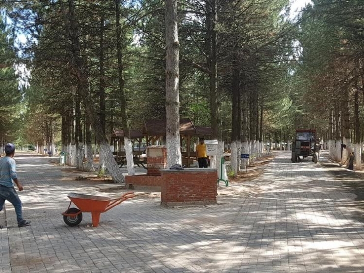 Altıntaş’ta Bayram Öncesi İlçe Mezarlığı Bakım Ve Temizliği