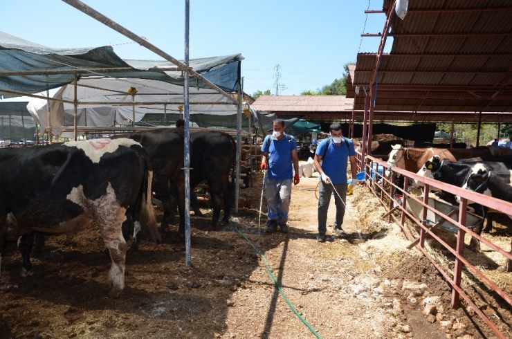 Büyükşehir, Kurban Satış Noktalarını Denetledi