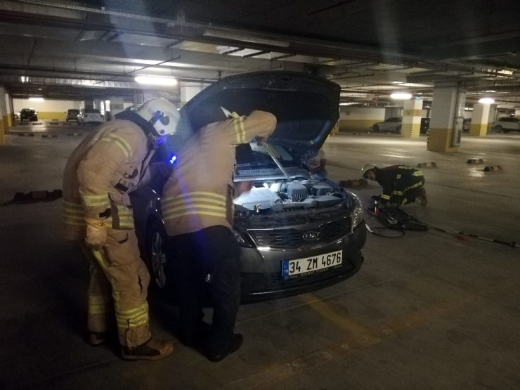 Beylikdüzü’nde Lüks Sitede Yılan Paniği