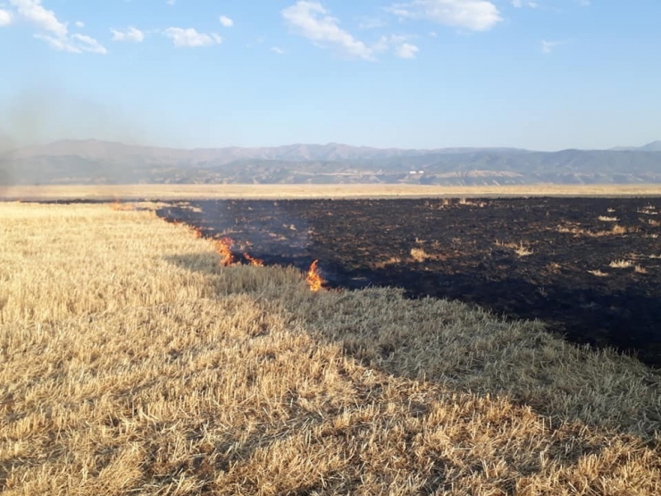 Bingöl’de Anız Yangını