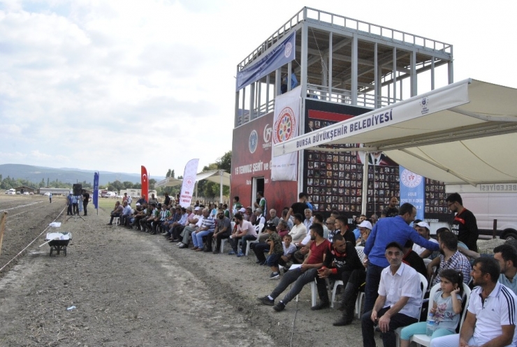 Atlı Sporda Bursa Farkı