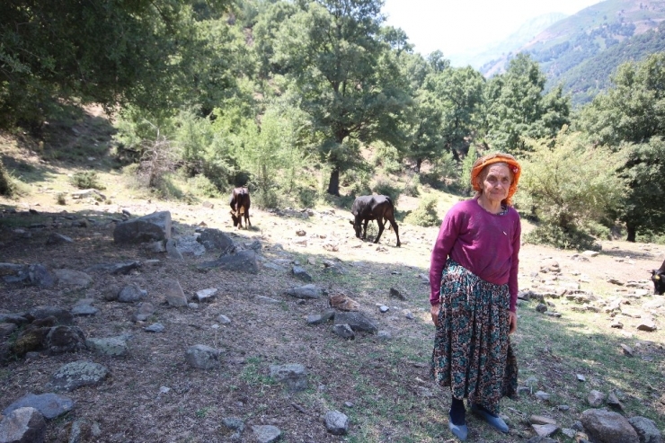 Çaresizliğin Yüzü Olan Sabiha Nine Kurbanlık Satacak