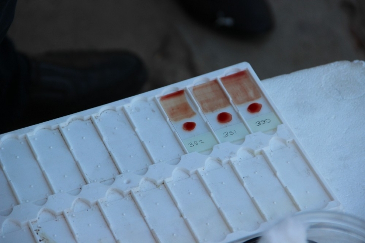 Manisa’da Sıtmayla Mücadele Hız Kesmeden Devam Ediyor