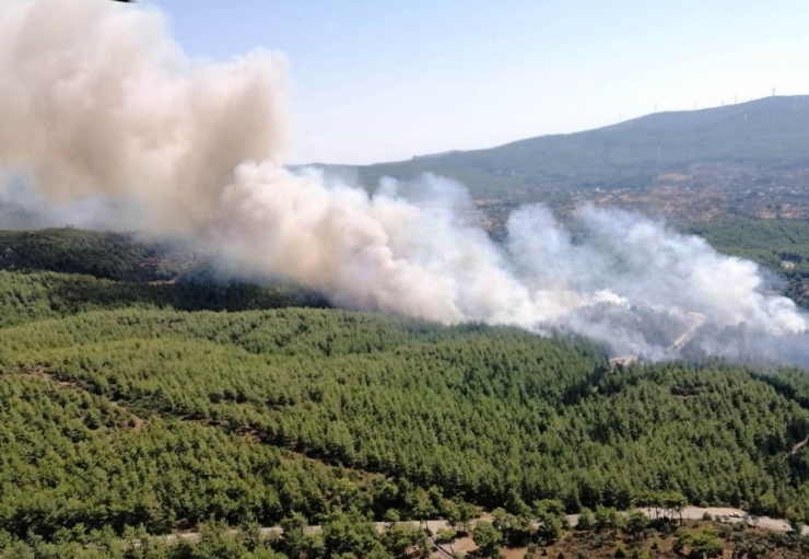 Bodrum’da Çıkan Orman Yangınında Alevler Köylere Ulaştı