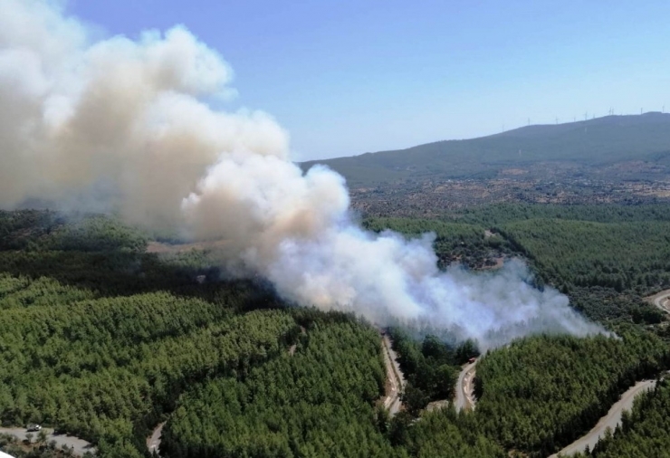 Bodrum’da Çıkan Orman Yangınında Alevler Köylere Ulaştı
