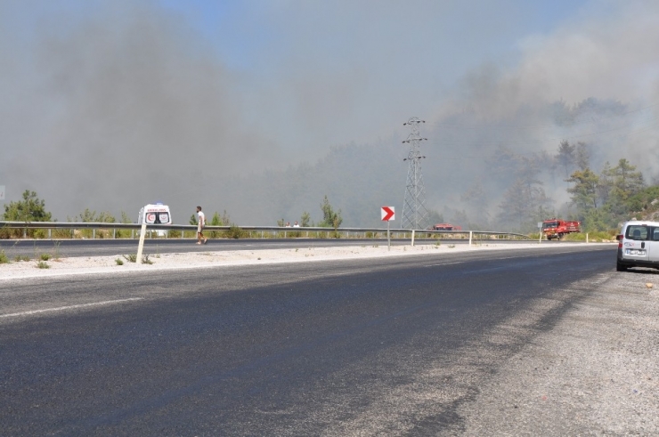 Milas Tuzabat’ta Sabah Kontrol Altına Alınan Yangın Tekrar Tekrar Başladı