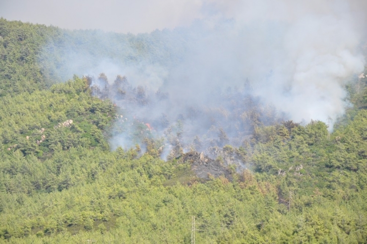 Milas Tuzabat’ta Sabah Kontrol Altına Alınan Yangın Tekrar Tekrar Başladı