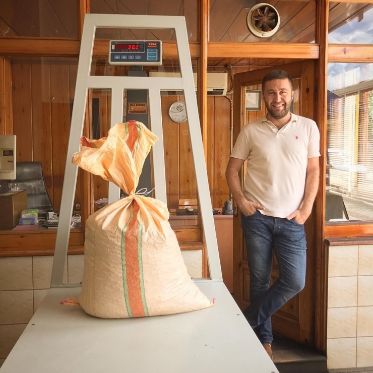 Yılın İlk Fındığı Tüccara İndi