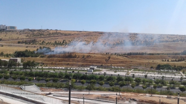 Ağaçlık Alanda Korkutan Yangın