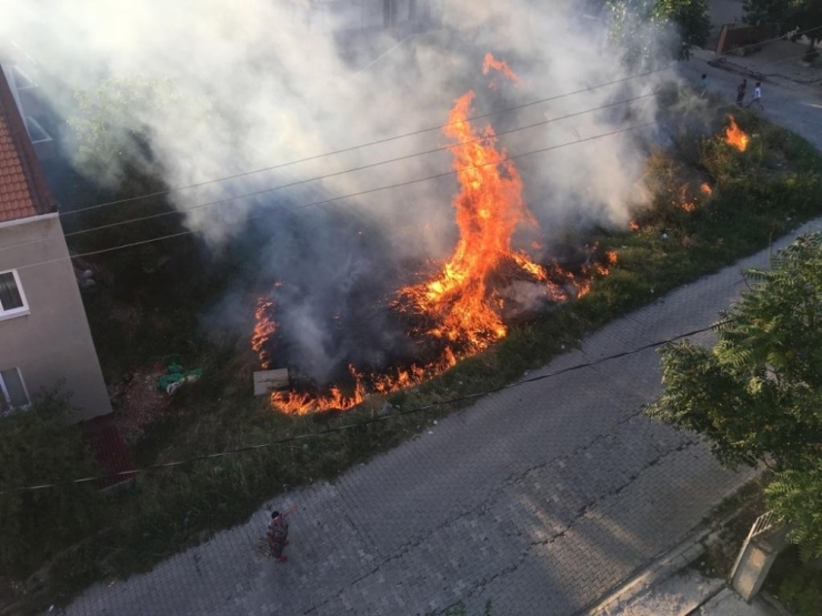 Sokak Arasında Yüzlerce Odun Alev Alev Yandı