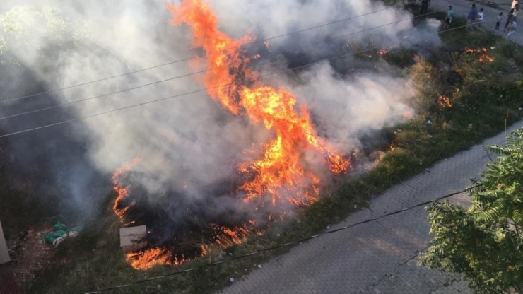 Sokak Arasında Yüzlerce Odun Alev Alev Yandı