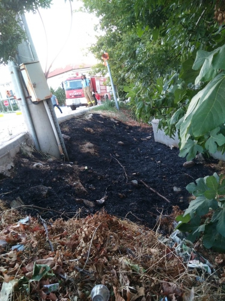 Burhaniye’de Trafo Yangını Korkuttu