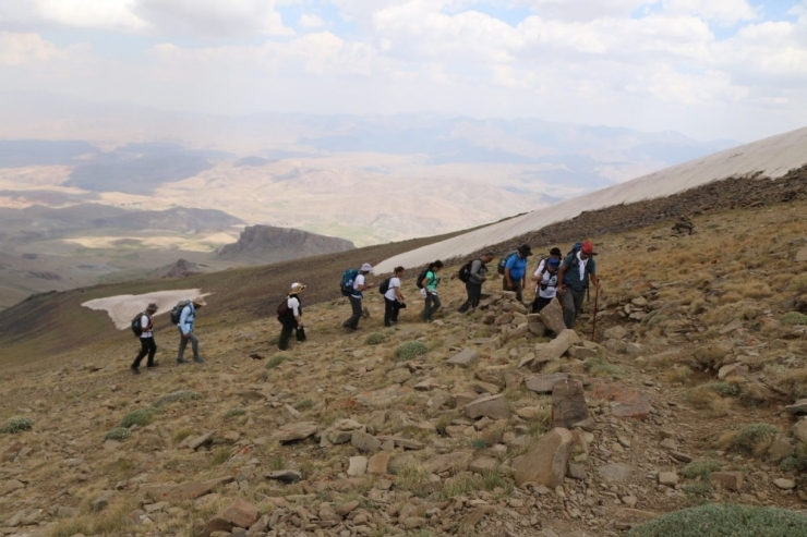 Doğaseverler Van Gölü İçin Dağ Dağ Tırmanıyor