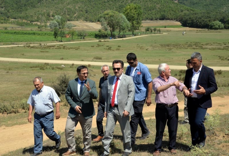 Vali Şentürk Şeftali Hasadı Yaptı