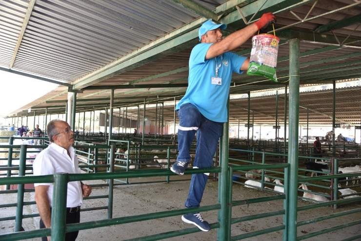 Canlı Hayvan Borsası İlaçlandı