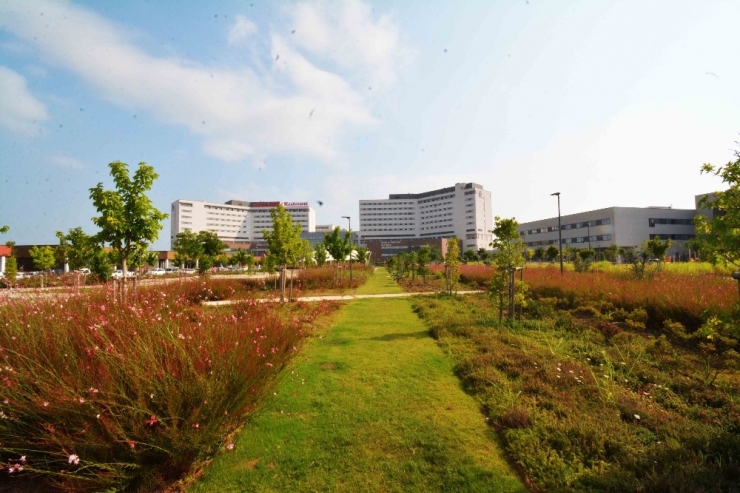 Yeşil Dostu Hastane