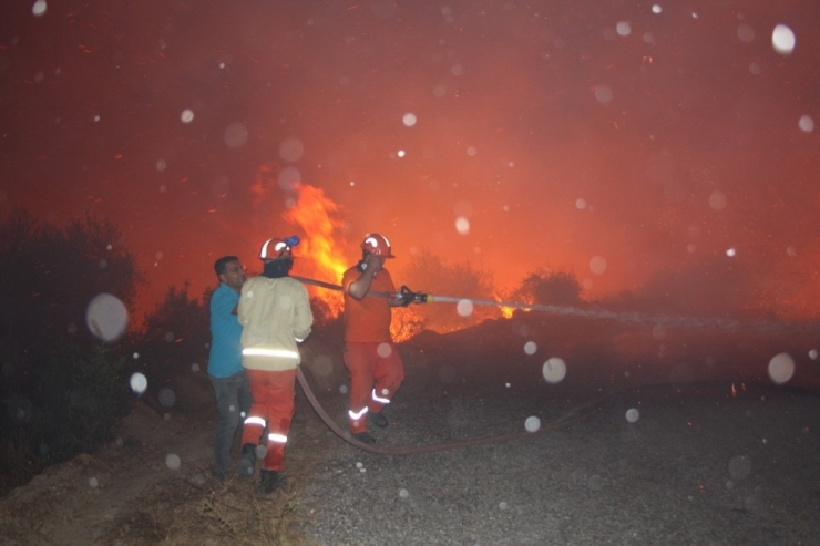 Antalya’da Korkutan Orman Yangını Kontrol Altına Alındı