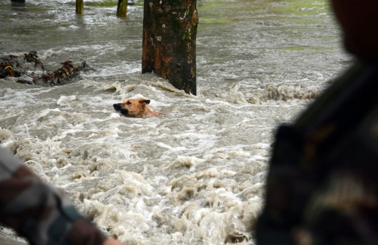 Ekonominin Kalbi ’Muson Yağmurları’ Her Yıl Ölümlere Neden Oluyor