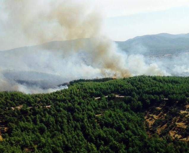 Nazilli’de 10 Dönüm Ormanlık Alan Kül Oldu