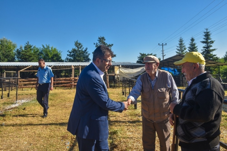 Başkan Çatal’dan Amasya Belediye Başkanı Sarı’ya Ziyaret