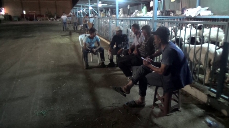 Canlı Hayvan Pazarında Yaşam