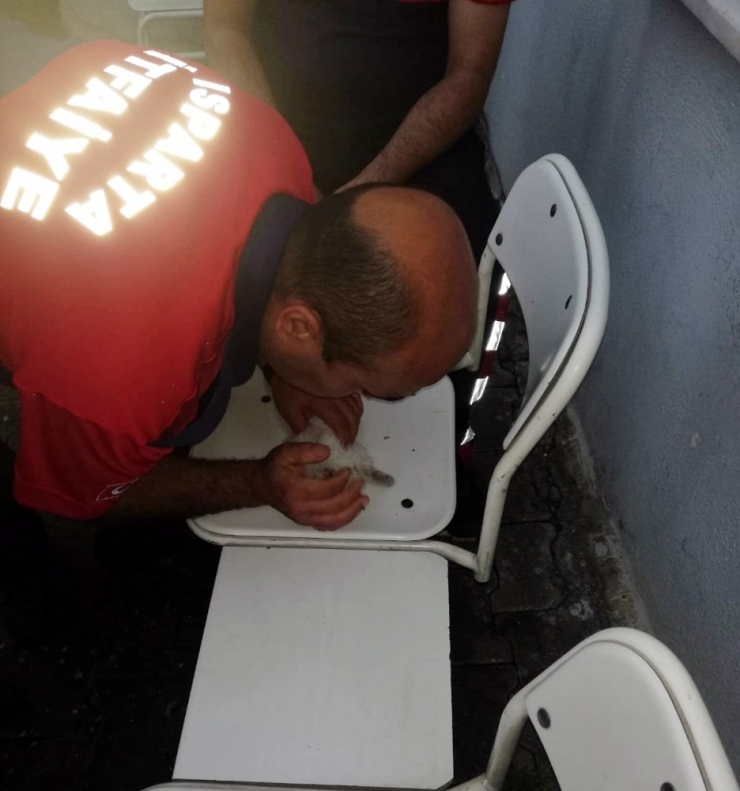 Kalbi Duran Kediye İtfaiye Erlerin Kalp Masajı Ve Suni Teneffüs Çabası