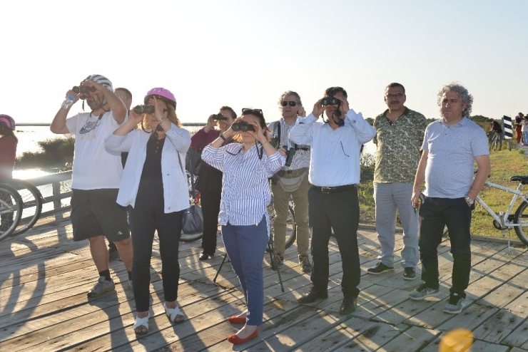 Kızılırmak Deltası’nda Bisiklet Ve Kuş Gözlem Etkinliği
