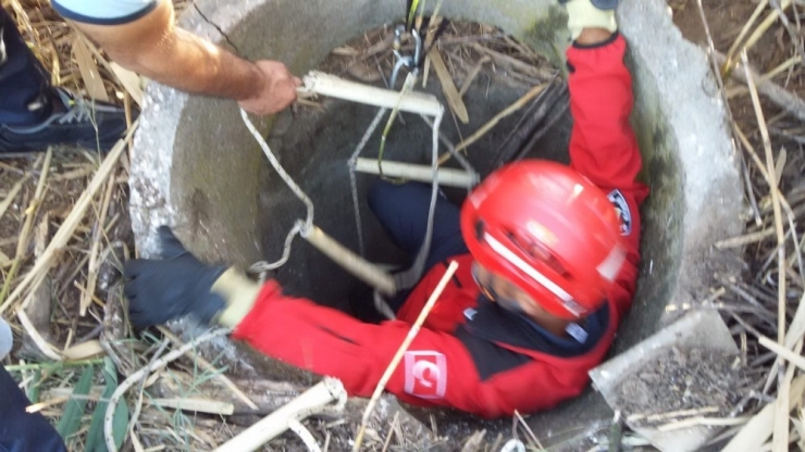 Burhaniye’de Kuyuya Düşen Yavru Köpeği İtfaiye Kurardı