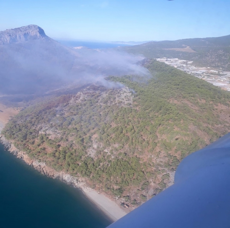 Mersin’de Orman Yangını