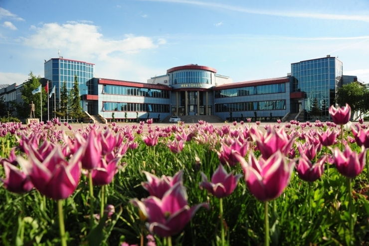 Van Yyü’nün Lisans Ve Ön Lisans Programlarına Büyük İlgi