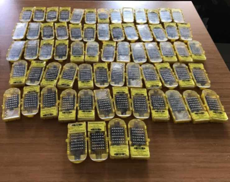 Sabiha Gökçen Havalimanında Bal Arısı Operasyonu