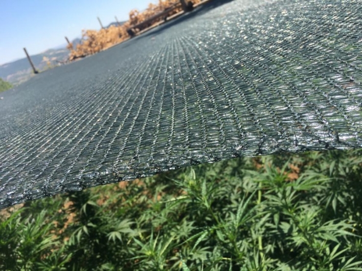 Tunceli’de Uyuşturucu Operasyonu: 2 Tutuklama