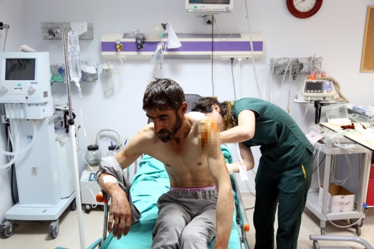 Ayı Saldırısında Yaralandı, Helikopterle Hastaneye Kaldırıldı