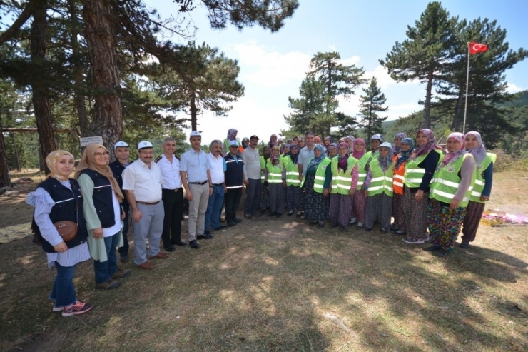 Vali, Emet’te Ormancılık Faaliyetlerini Ve Yangın Müdahale Tedbirlerini İnceledi