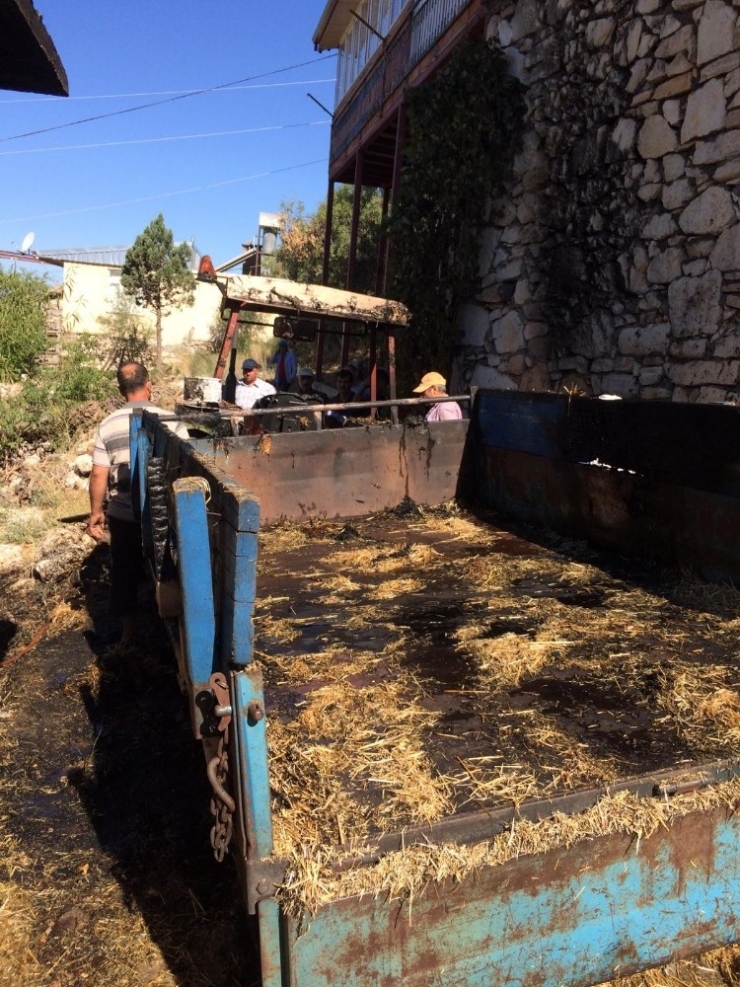 Yanan Traktörü Orman Arazözü Söndürdü