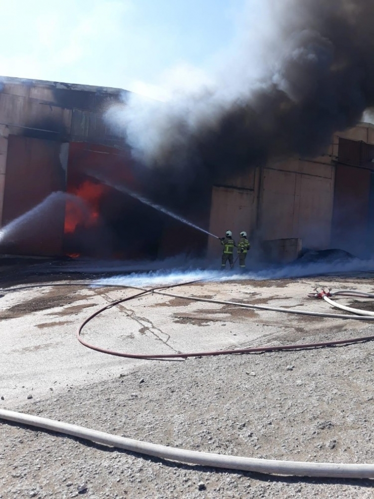 Ayçekirdeği Kabukları Cayır Cayır Yandı