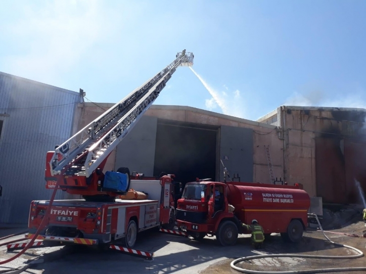 Ayçekirdeği Kabukları Cayır Cayır Yandı