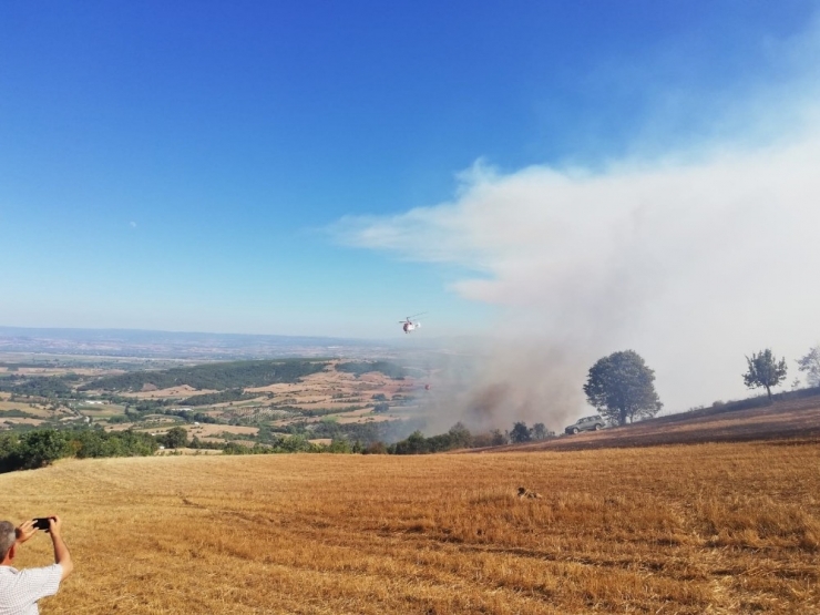 Bursa’da Orman Yangını