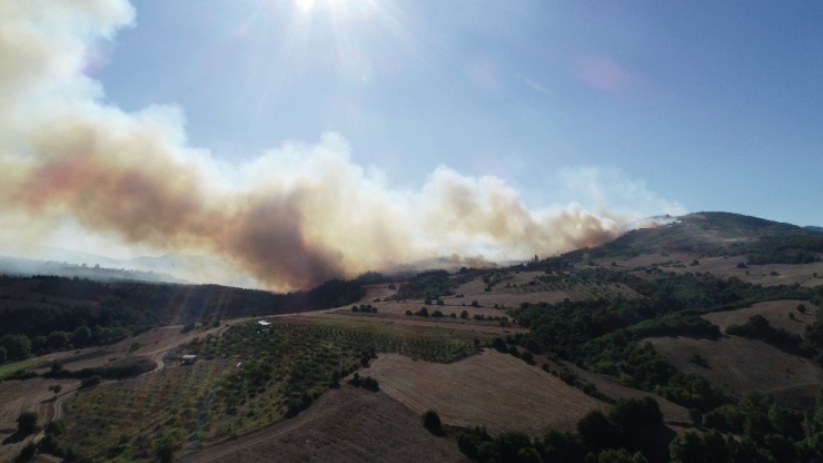 Yenişehir’deki Orman Yangını Drone İle Böyle Görüntülendi