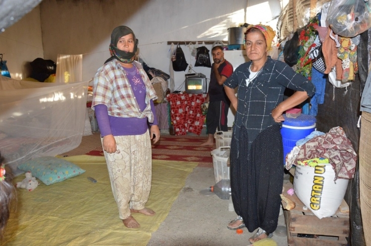 Mevsimlik Tarım İşçileri İnsanca Yaşamak İstiyor