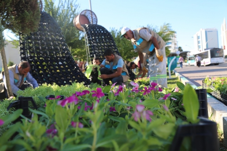 Haliliye’de Parklara Çiçek Ekimi Yapıldı