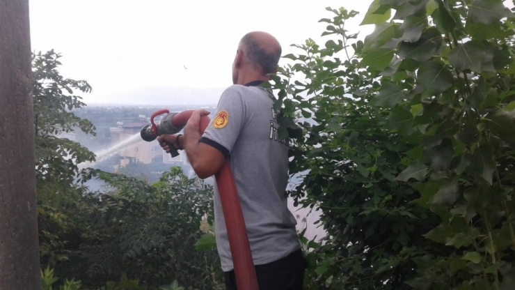 Samandağ’da Bitki Örtüsü Yangını