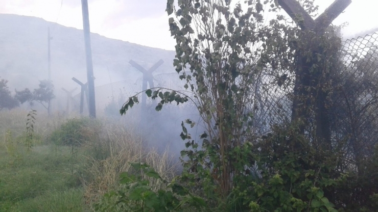 Samandağ’da Bitki Örtüsü Yangını