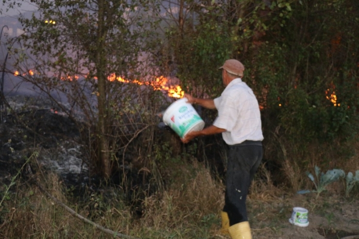 Anız Yangınına Kova Ve Hortumla Müdahale Ettiler